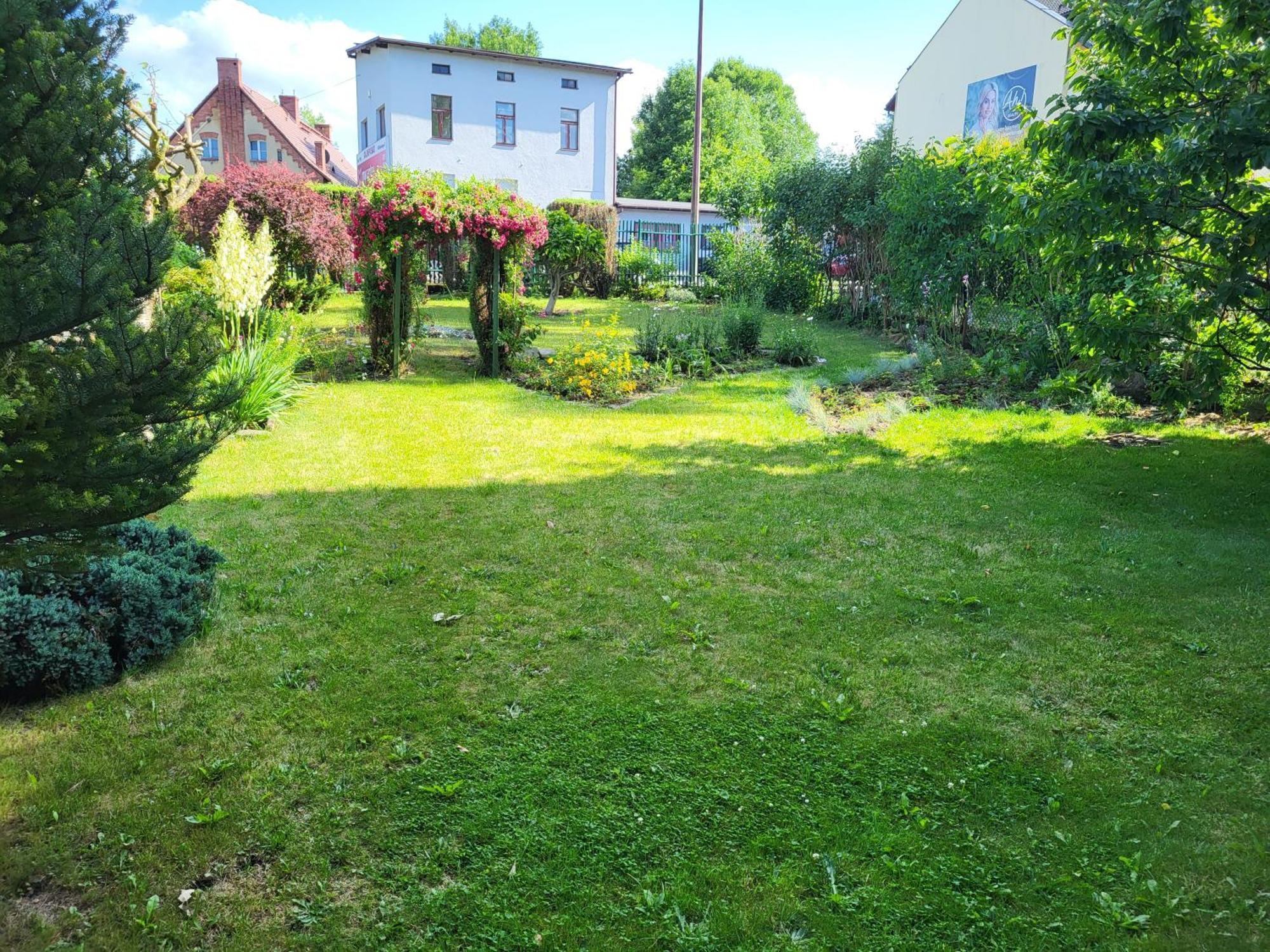 Apartament Ivlo Pszczyna Zewnętrze zdjęcie